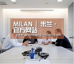 研发能力标题二